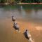 VeeVaree Riverkwai Resort - Ban Kaeng Raboet