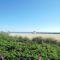 Apartment Ostsee-Residenz - DMP173 by Interhome