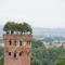 Holiday Home Villetta Cerchia by Interhome
