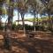 Apartment Palazzeta IV by Interhome