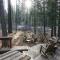 824 Beaver Pond