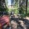 Ski Trails 4024