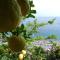La Dolce Vita a Positano boutique hotel