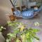 Poseidon Guest House - Iquitos