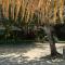 Family Comfort in Jamaica - Enjoy 7 miles of White Sand Beach! villa