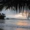 Sand Dollar Beach Bed & Breakfast