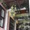 Tanani Newa Home -Dhaulagiri