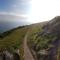 Pentire, on the coastal path - Polruan