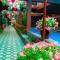 Gecko Backpackers Hostel