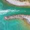 Acacia Tropical, luxurious Duplex, walkable beach