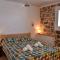 The apricot tree studio