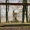 Poppy An Immaculate Lake side Lodge the Perfect Retreat, Sleeps 4 - 赖德