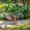 Believe Surf & Yoga Lodge Santa Teresa
