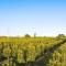 Huerto Valenciano - Sol y Tranquilidad - Piscina