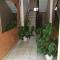 Appartement T4 70m2 - meublé - centre ville - proche Thermes