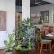 Papaya Guesthouse