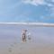 Bude holiday home