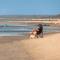 Beach Cottage. 100m to the beach 9minutes to Hot Springs. Pet Friendly