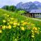 Villa Edelweiss - 3 to 6 Guests - private use of indoor pool, sauna and garden terrace