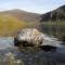 The Old Stables - a gem surrounded by mountains! - Caernarfon