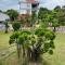 Traditional Thai house บ้านเรือนไทย ใกล้หาดระยอง