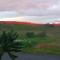BAMBOU NATURE