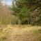 Nice Summer House In The Middle Of The Forest - Store Fuglede