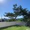 CONDOMINIUM 紅-BIN- - Okinawa