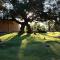 Sa Cabana Hotel & Spa - Adults Only - 孔塞利
