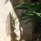 Dar Mar Hostel & Coworking