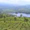 Jungle Villa Munnar - Pooppara