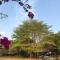 Tong Nian B&B