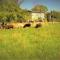 the abberton shepherds hut