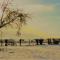 the abberton shepherds hut