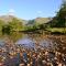 Kennels Cottage - Beaufort Estate - Belladrum