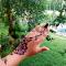 Marari Beach Bungalow Resort Alleppey