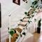 Ursino holiday apartment