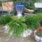 B&B Le Clos des Cigales