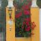 Villa Rosemary