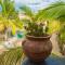 Pure Baja Private Suites-Upscale Property with Infinity Pool and Lush Gardens - El Pescadero