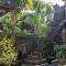 Ubud Dream