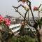 Neelam Bed & Breakfast