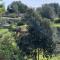 Trullo dei Mori, sea view villa with swimming pool