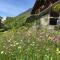 Chalet Rosemarie