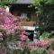 Chalet Rosemarie