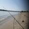 Camping Danubius Tulcea - 图尔恰