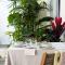 Tallowwood House Luxury Bed & Breakfast