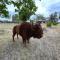 Doe Creek Horse Ranch