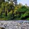 JUNGLE LIFE GUEST HOUSE - Trekking & Transport Only Book With Us - 武吉拉旺