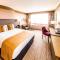 Copthorne Hotel Slough Windsor - Slough